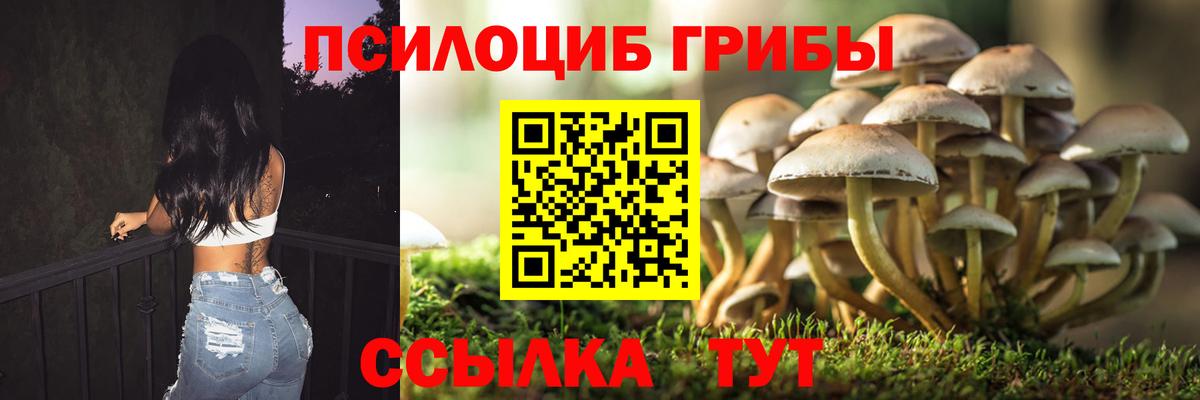Мытищи  Псилоцибиновые грибы MAGIC MUSHROOMS  купить наркотик  Псилоцибиновые грибы Psilocybine cubensis  Вход с VPN 
